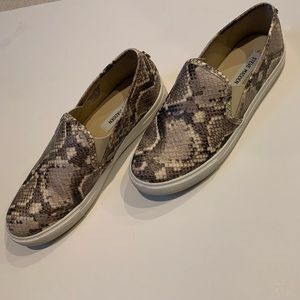 Steve Madden Snakeskin Sneakers